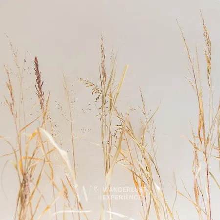 Apartament Wanderlust Experience Il Giglio Di Mare